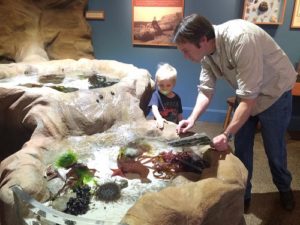 Toddler examining tide pool