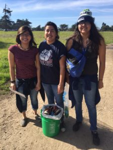 Clean-up in Lighthouse Field