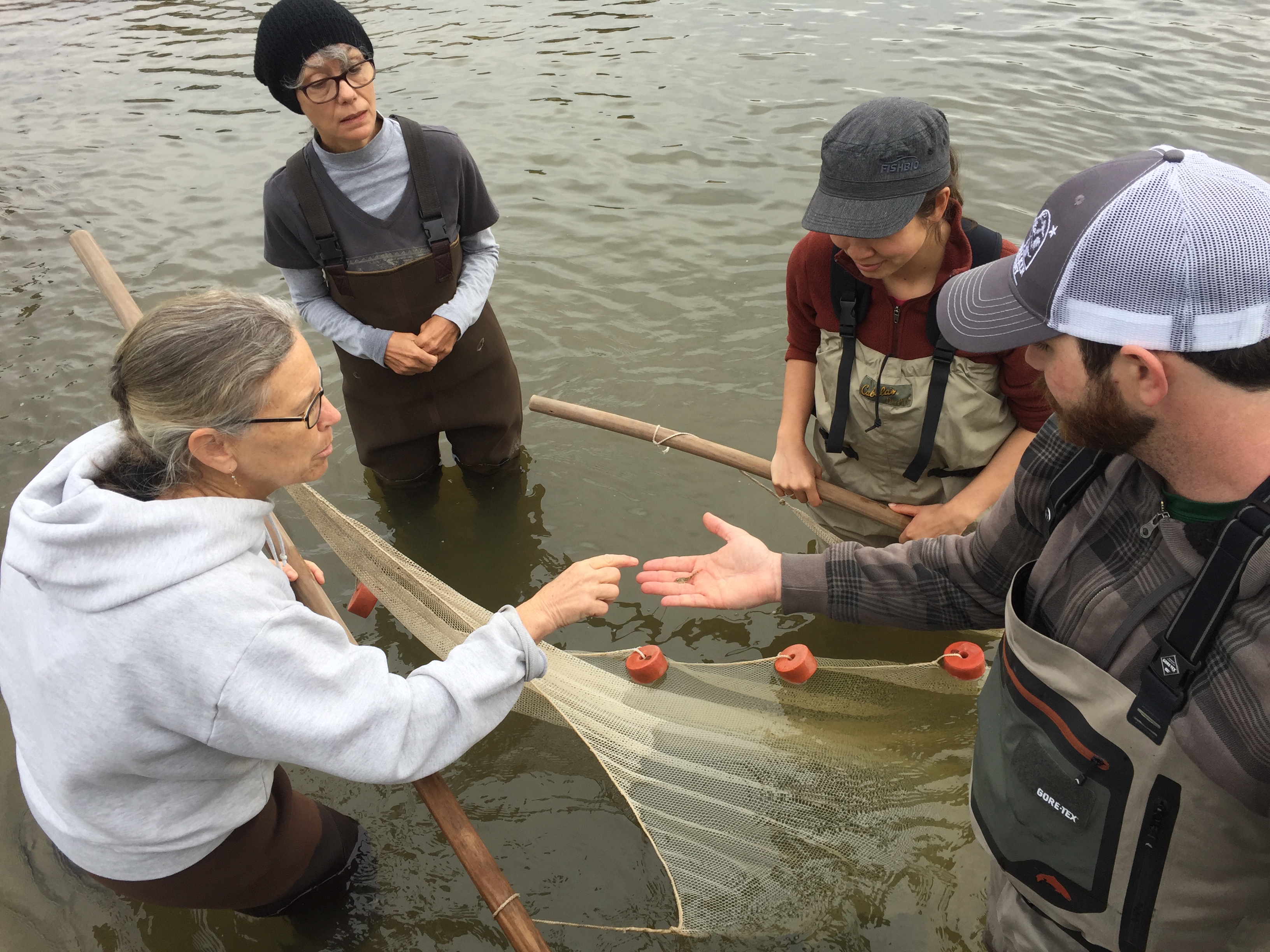 Citizen scientists collecting data in a marine environment