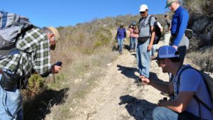 Citizen scientists collecting data in the hills