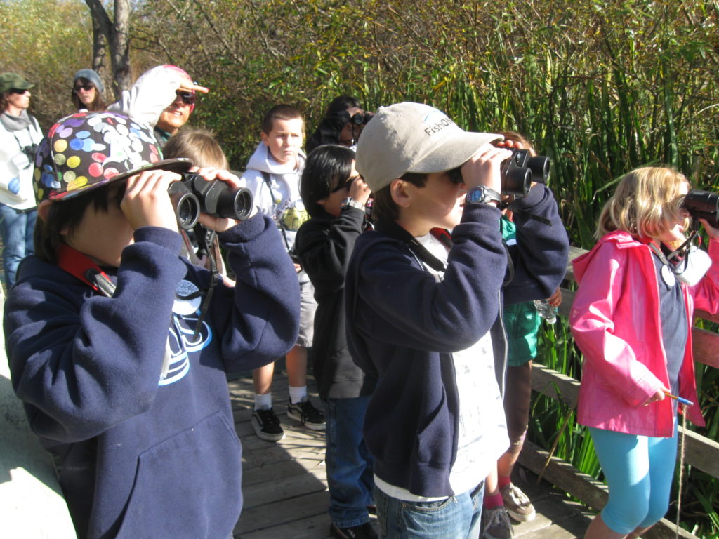 A group watches through binoculars from an observation platform