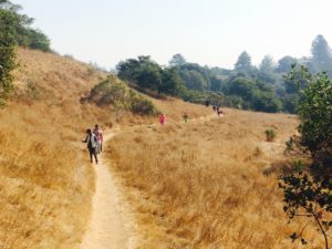 Group of students on a nature walk in the hills