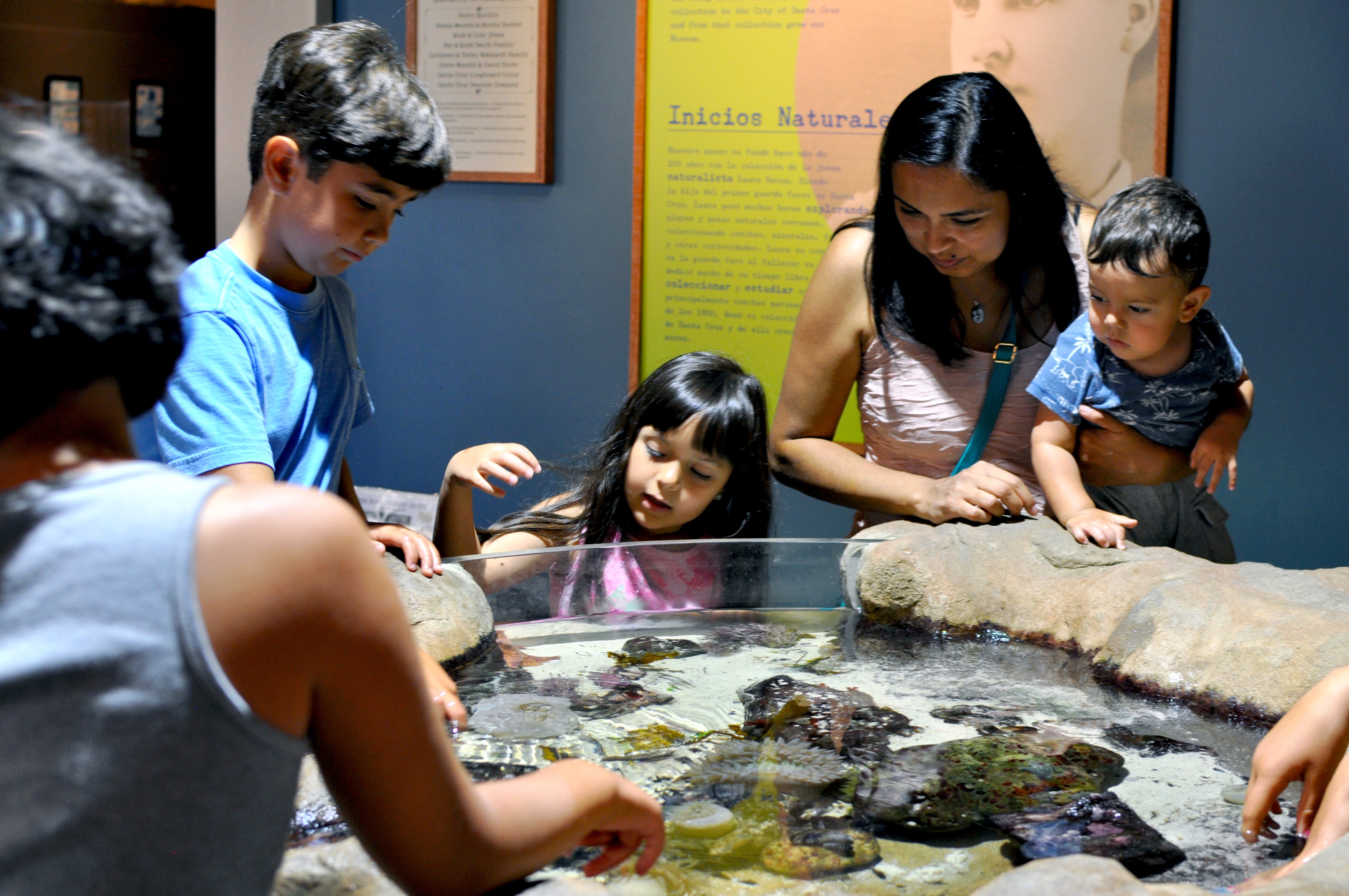 Children examining the tidepool