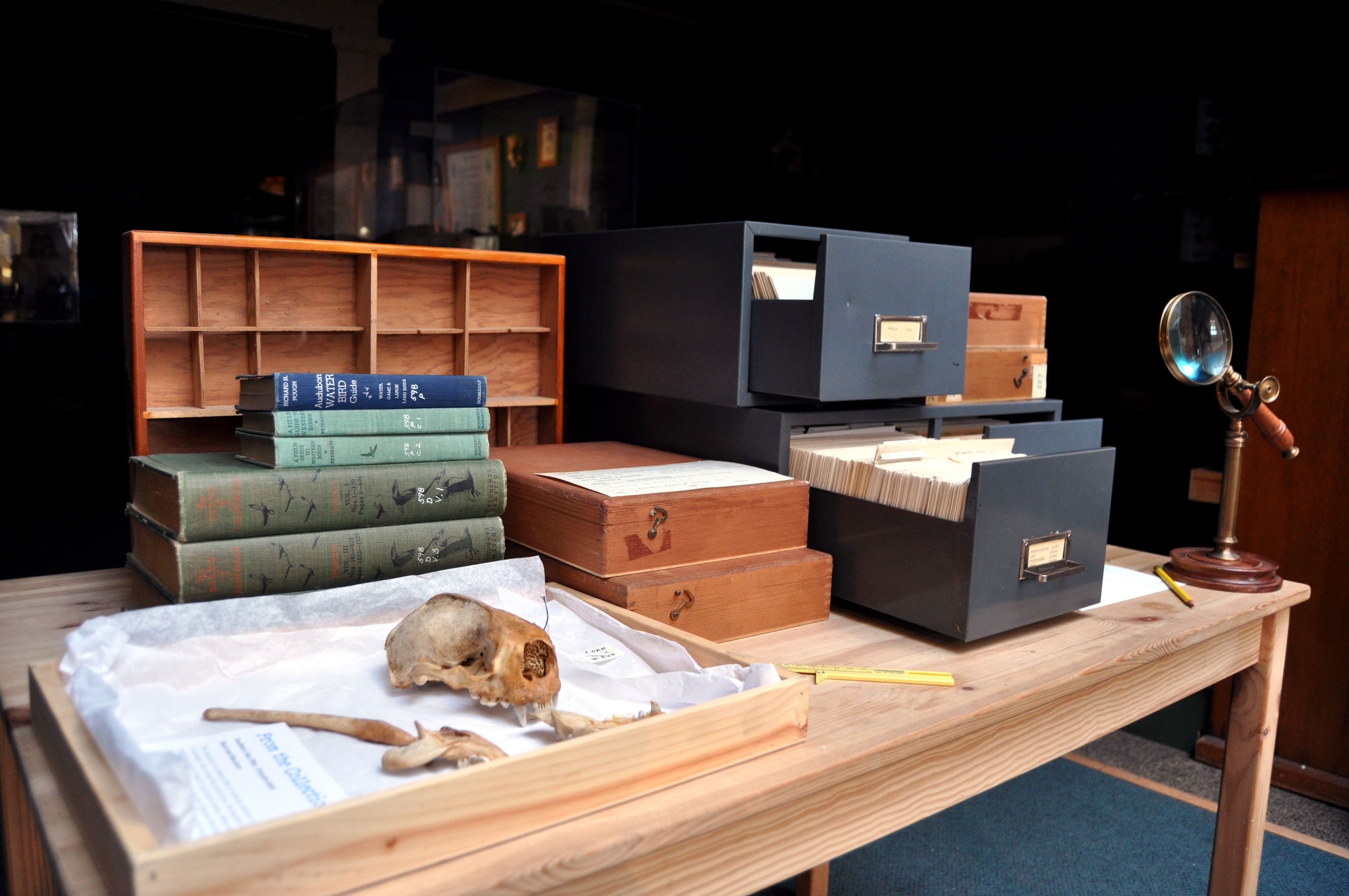 Collection materials on a desk