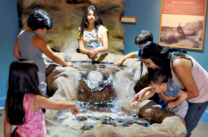 Students around the tidepool