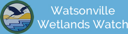 Watsonville Wetlands Watch