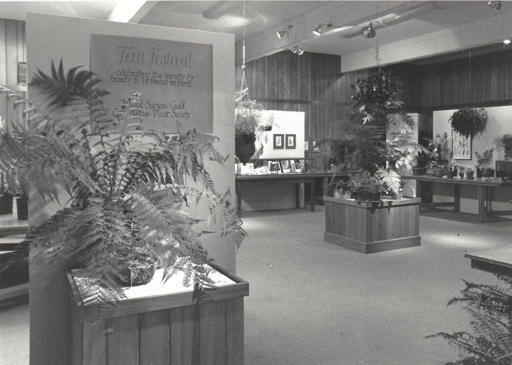 Fern festival at the museum in 1980