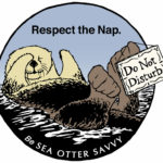 Sea Otter Savvy