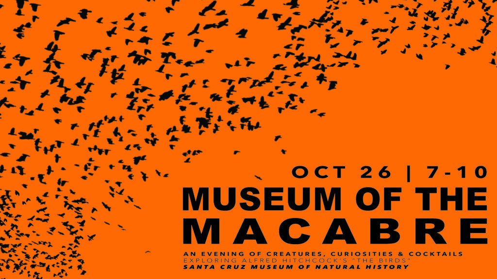 Museum of the Macabre