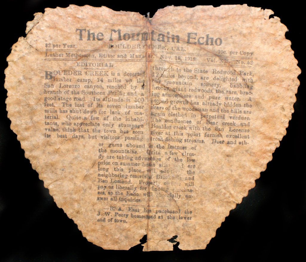 cottonwood leaf with a newspaper printed on it