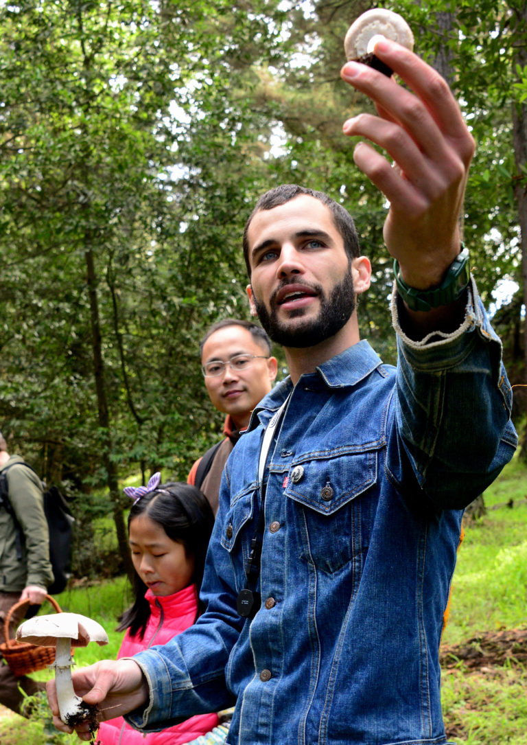 Macabre Mushrooms Ghouls of the Woods with Christian Schwarz Santa