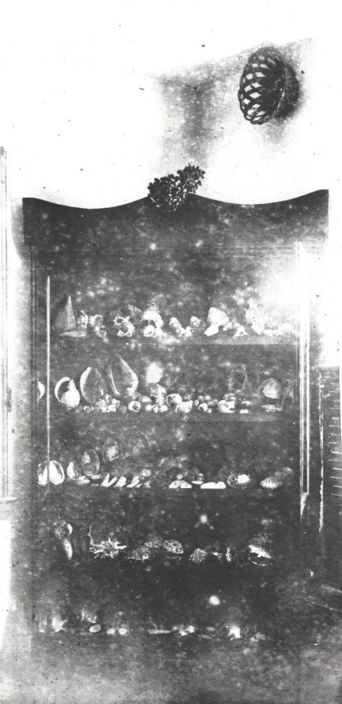 Laura’s collection displayed in Santa Cruz Lighthouse, late 1800s