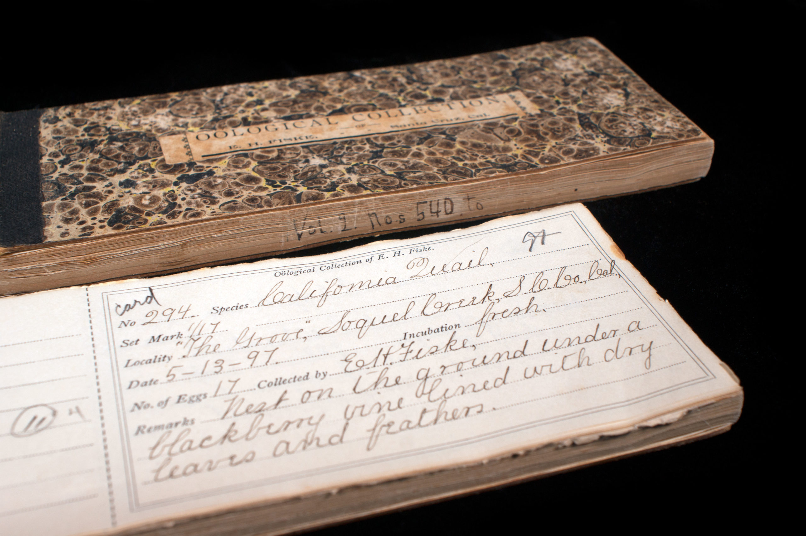 A catalog book with handwritten information about a quail egg.