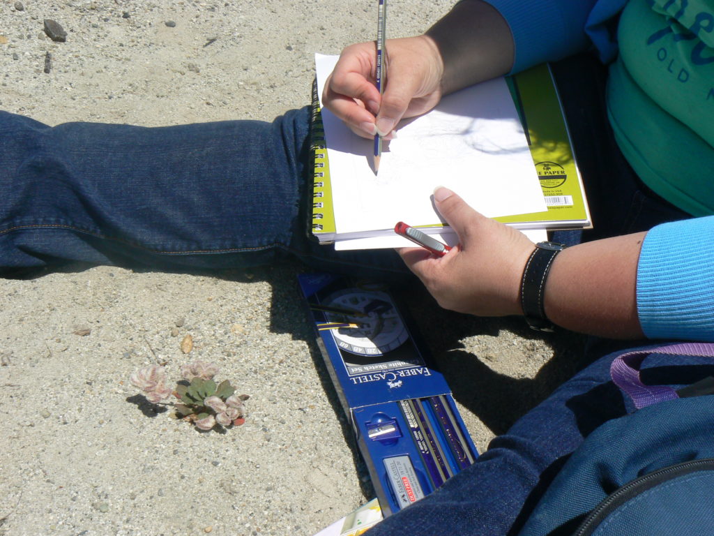 Recording data in an observation journal