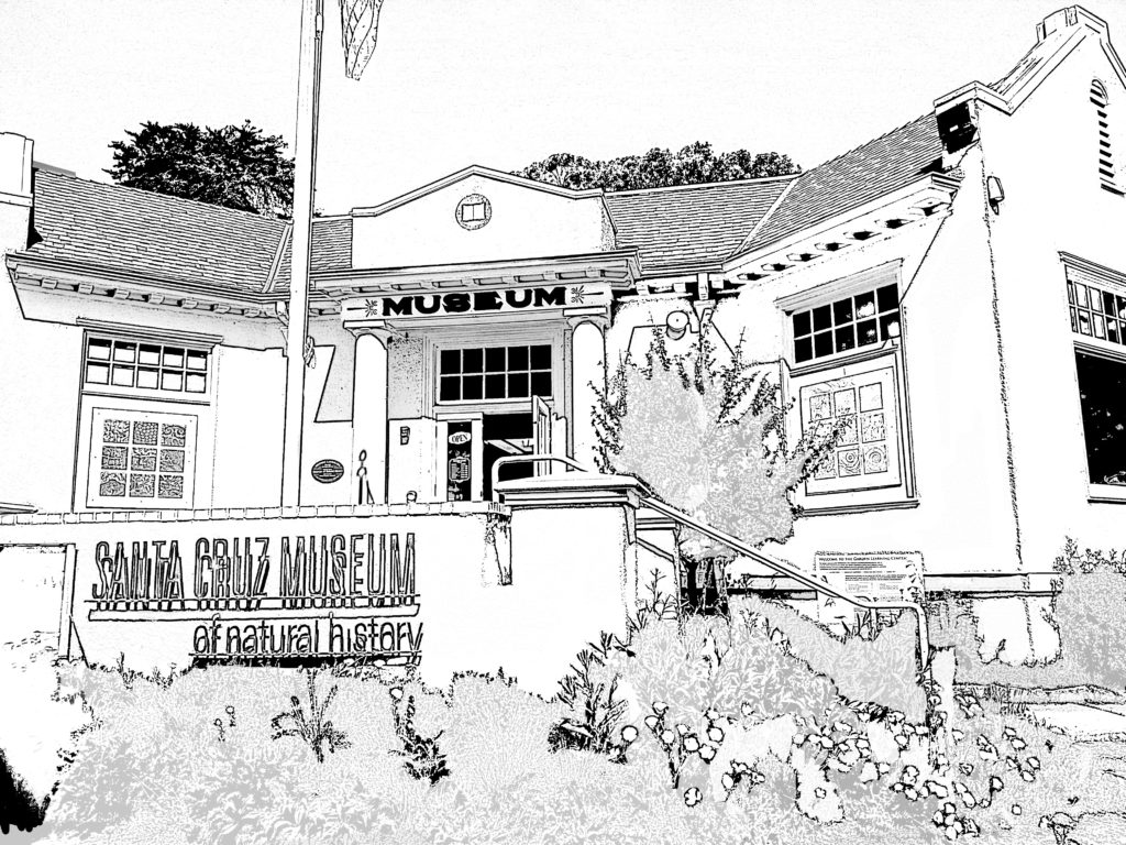 Coloring page depicting the front of the Santa Cruz Museum of Natural History