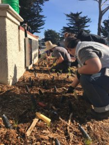 Ponderosa High students putting in native plants out front of the museum