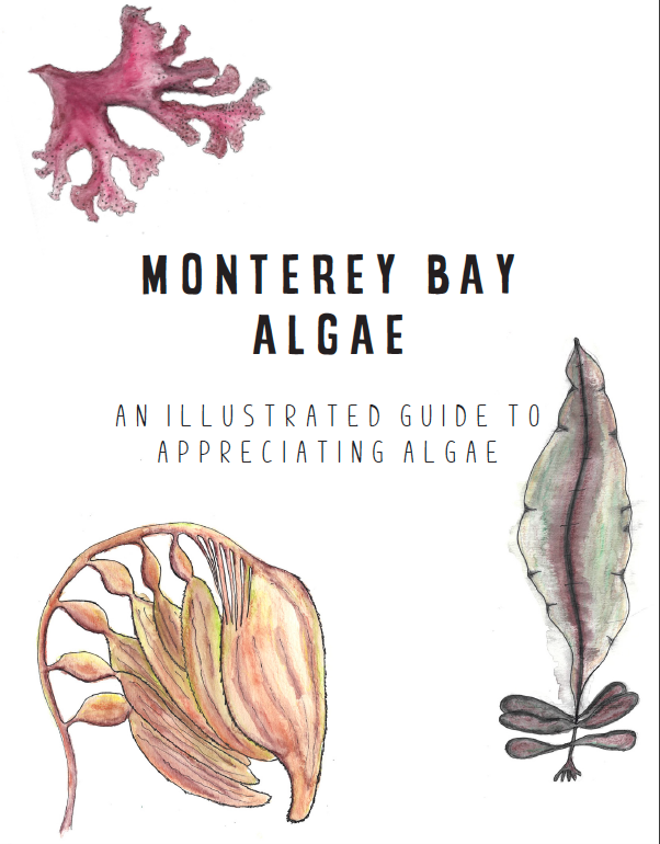 The front cover of Monterey Bay Algae: An Illustrated Guide to Appreciating Algae