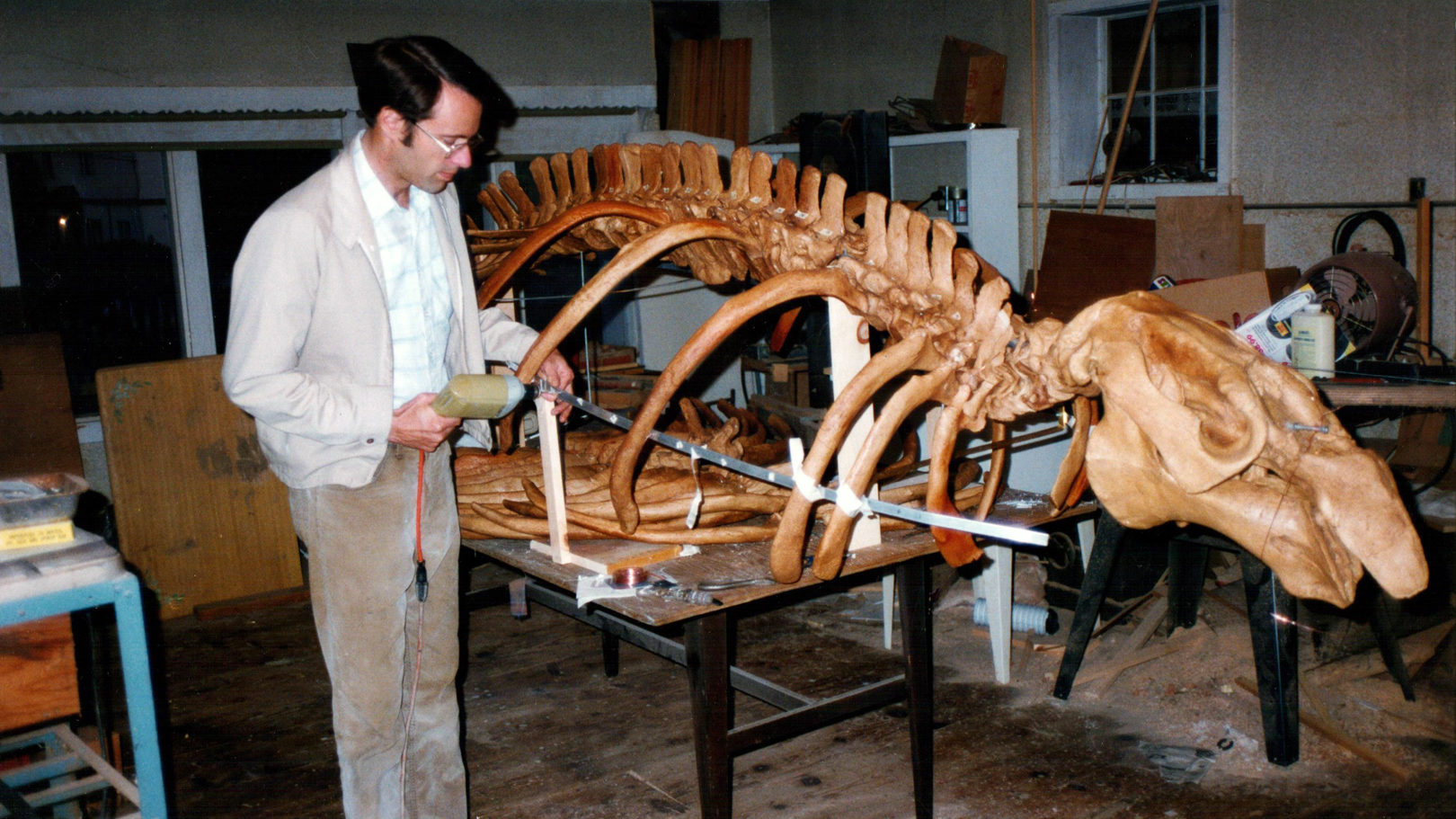 Frank Perry works on a cast of a fossil sea cow skeleton.