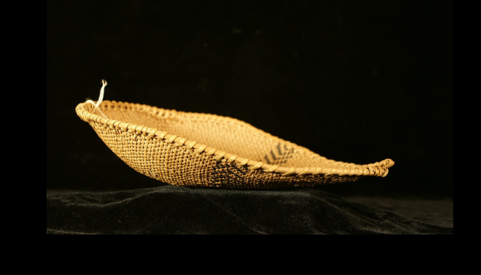 Seed winnowing basket