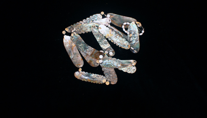 Abalone necklace