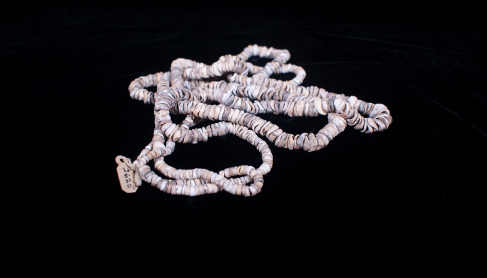 Olivella shell necklace