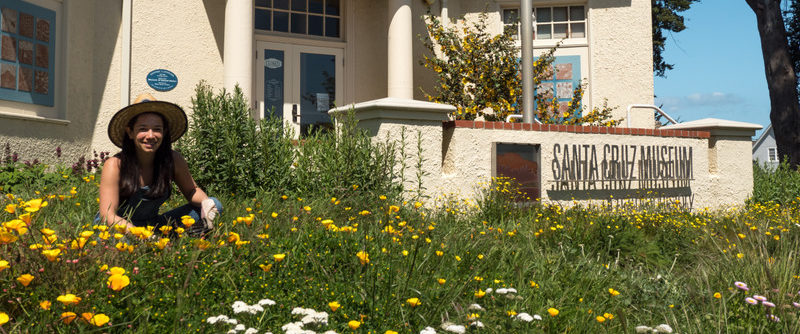 Photo of woman working in the garden in front of the Museum surrounded by native plants in bloom.