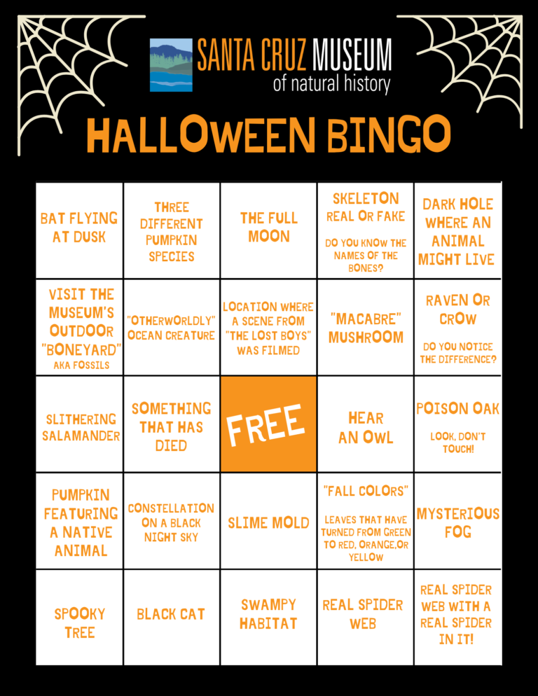 Halloween Bingo Santa Cruz Museum Of Natural History halloween-bingo-santa-cruz-museum-of-natural-history