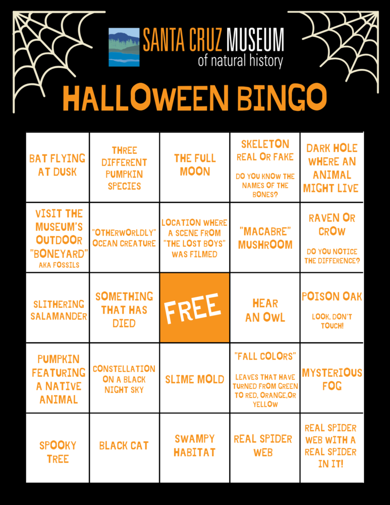 A 5x5 grid of halloween prompts with the title "Halloween Bingo."