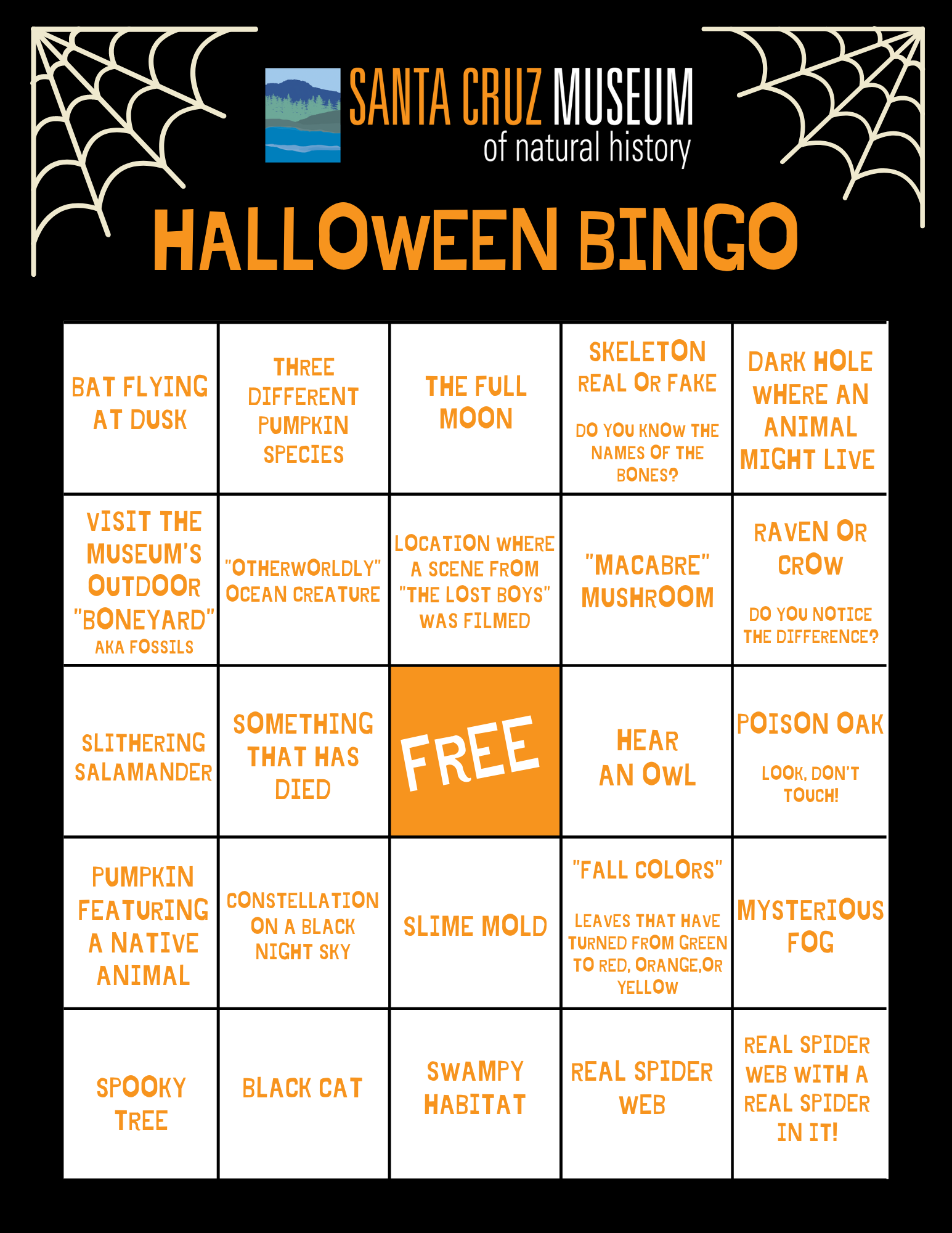 Halloween Bingo Santa Cruz Museum of Natural History