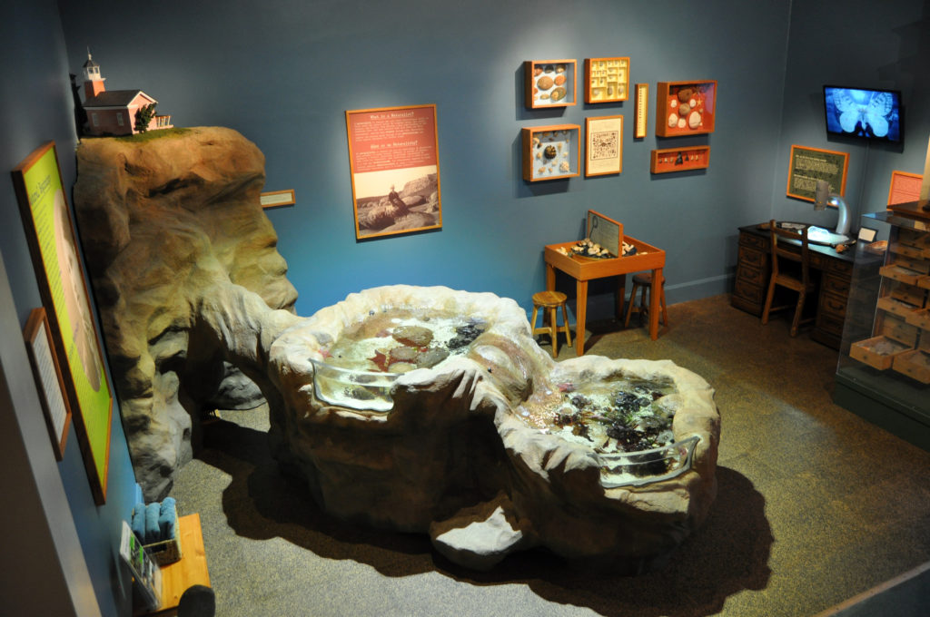 The intertidal touch pool exhibit seen from above as it appears today.