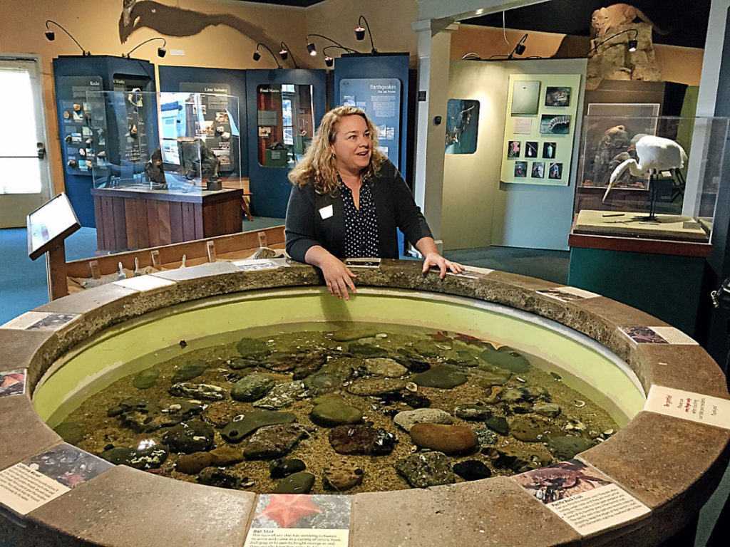 Former museum director Heather Moffat McCoy stands by the old tide pool exhibit in 2016 as she makes plans for designing a new one.