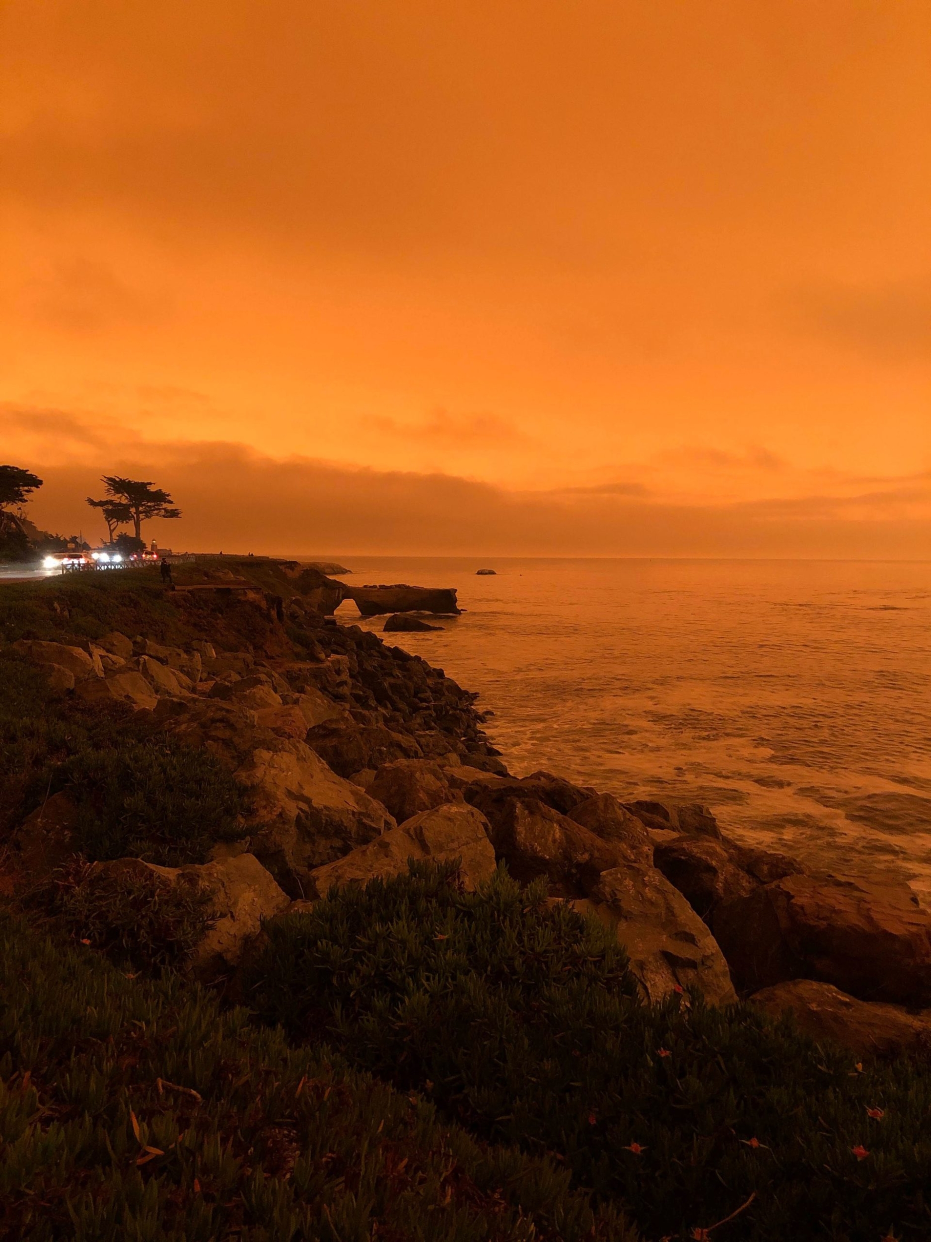 An orange glow over West Cliff Drive.