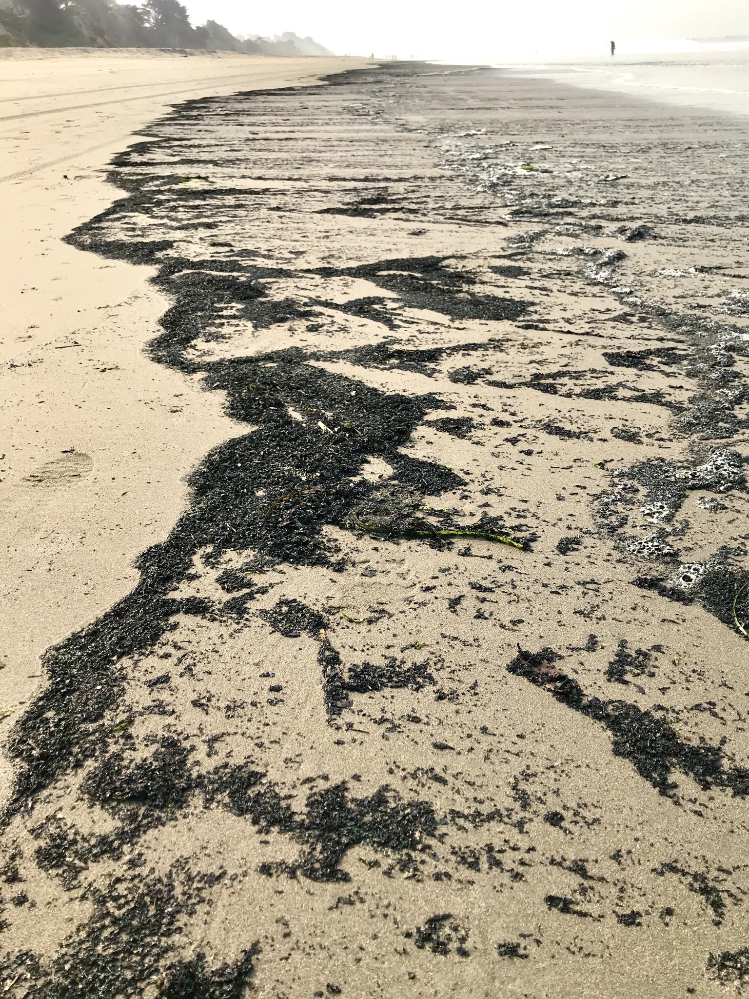 Ripples of ash line the sand.