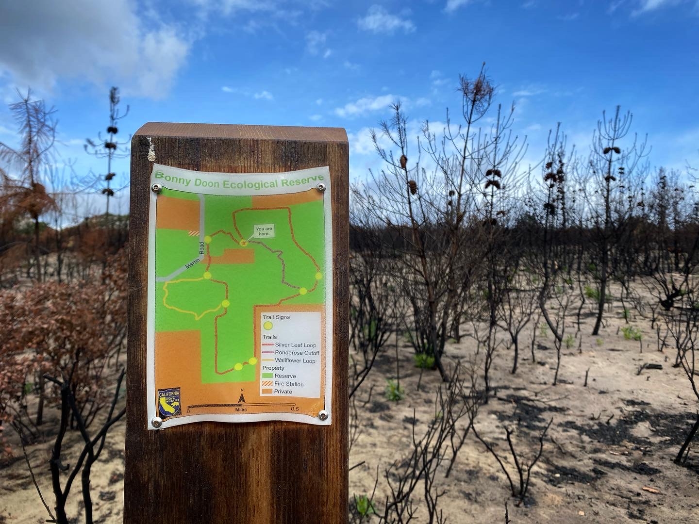 A wooden post holds a melted plastic map of the Reserve, with a burned landscape in the background.