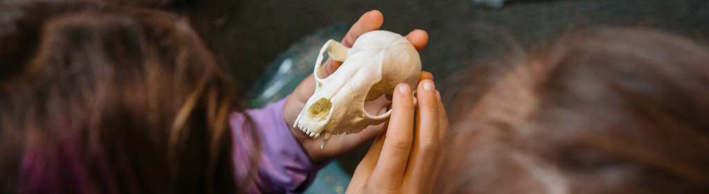 Two students hold an animal skull in a tour