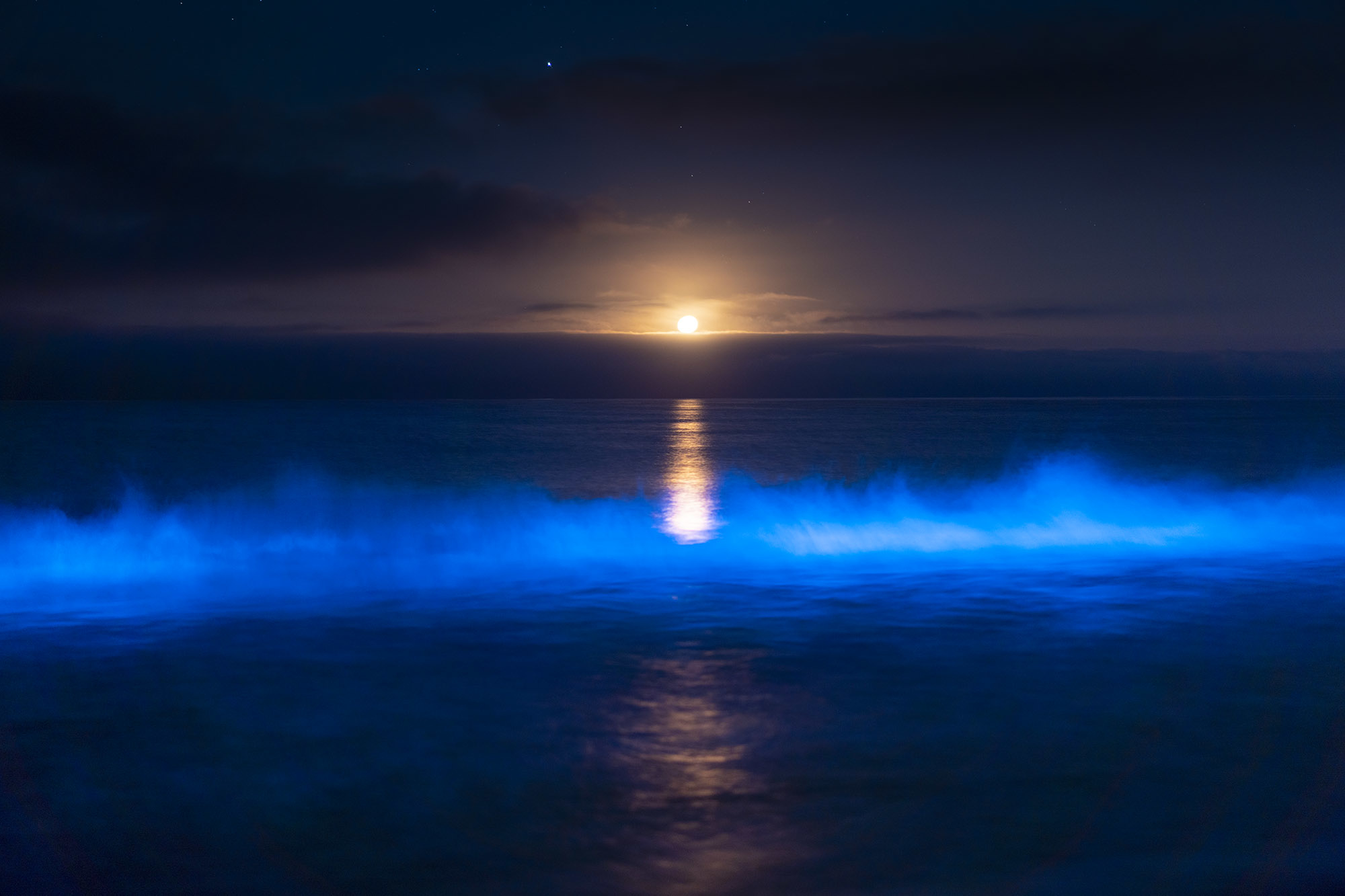 A glowing wave crests with a full moon shining on the horizon.