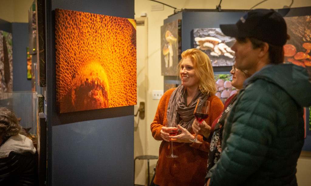 Three people looking at a photo of a mushroom during an exhibit opening