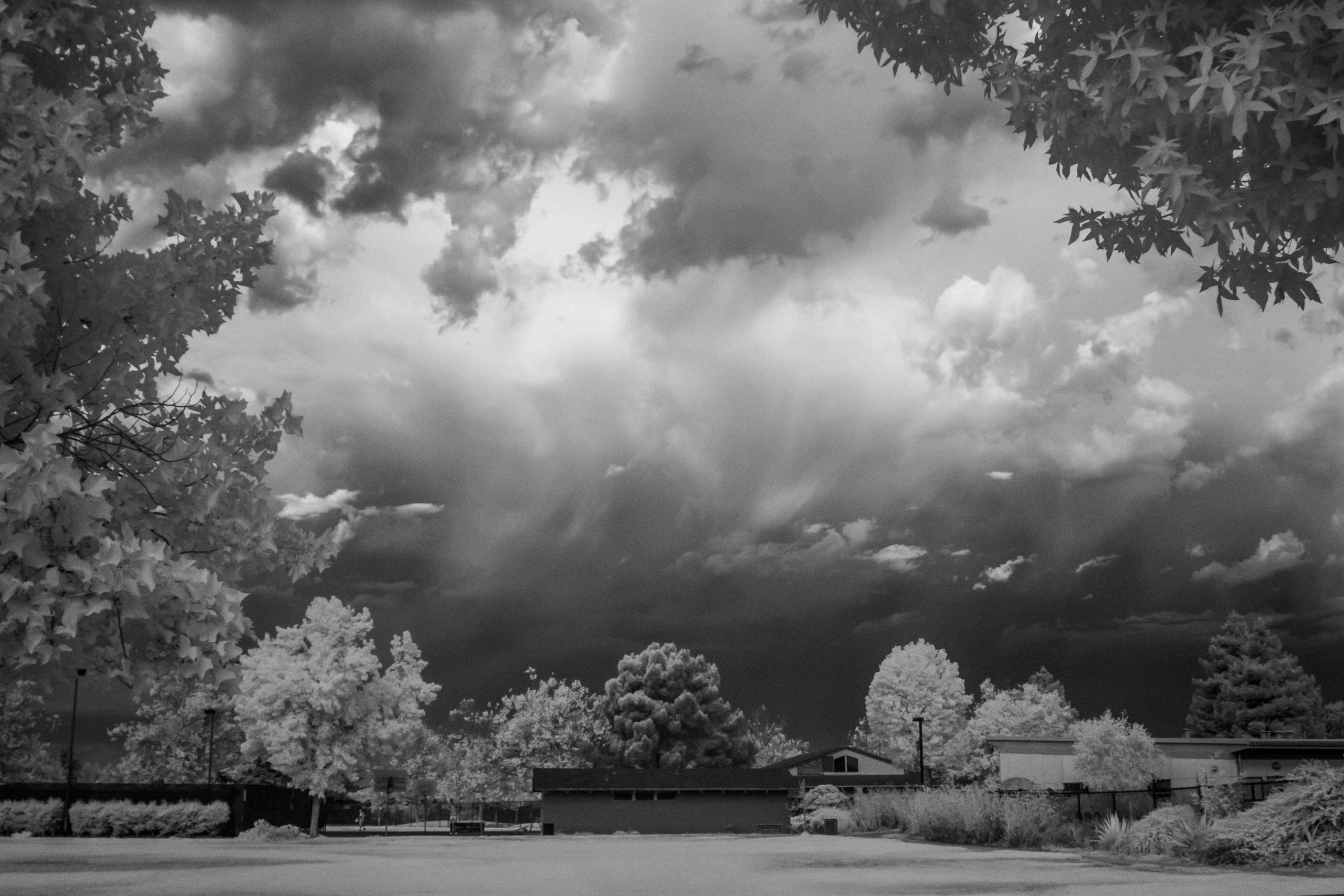 A black and white image of a sky full of clouds framed by trees.