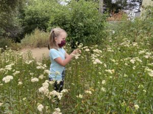 girl in summer camp among yarrow plants