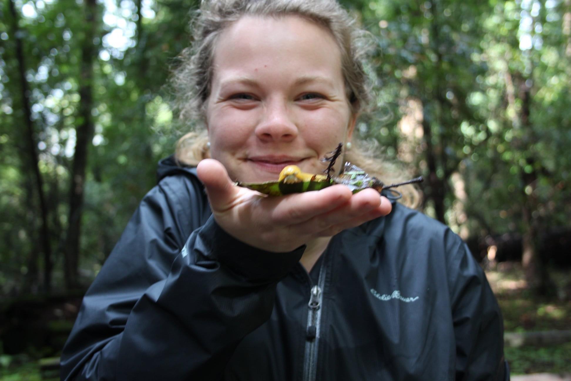 how-everyone-can-contribute-to-pollinator-conservation-with-the-xerces
