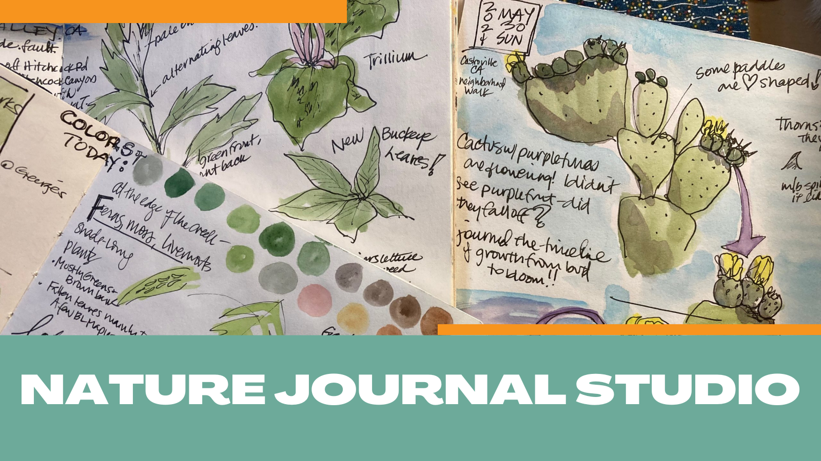 1/10 Nature Journal Studio - Santa Cruz Museum of Natural History